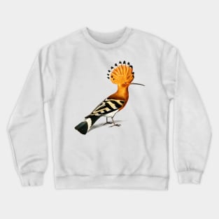 Vintage huppe commune bird-animalia Crewneck Sweatshirt